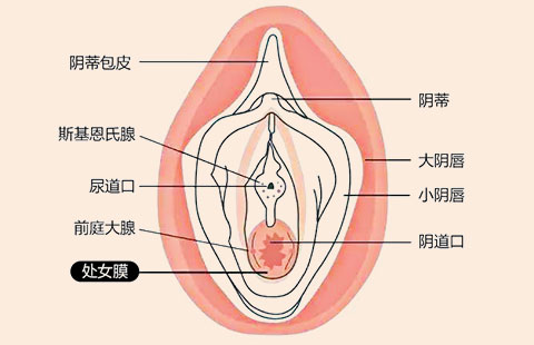 北京京通医院妇科